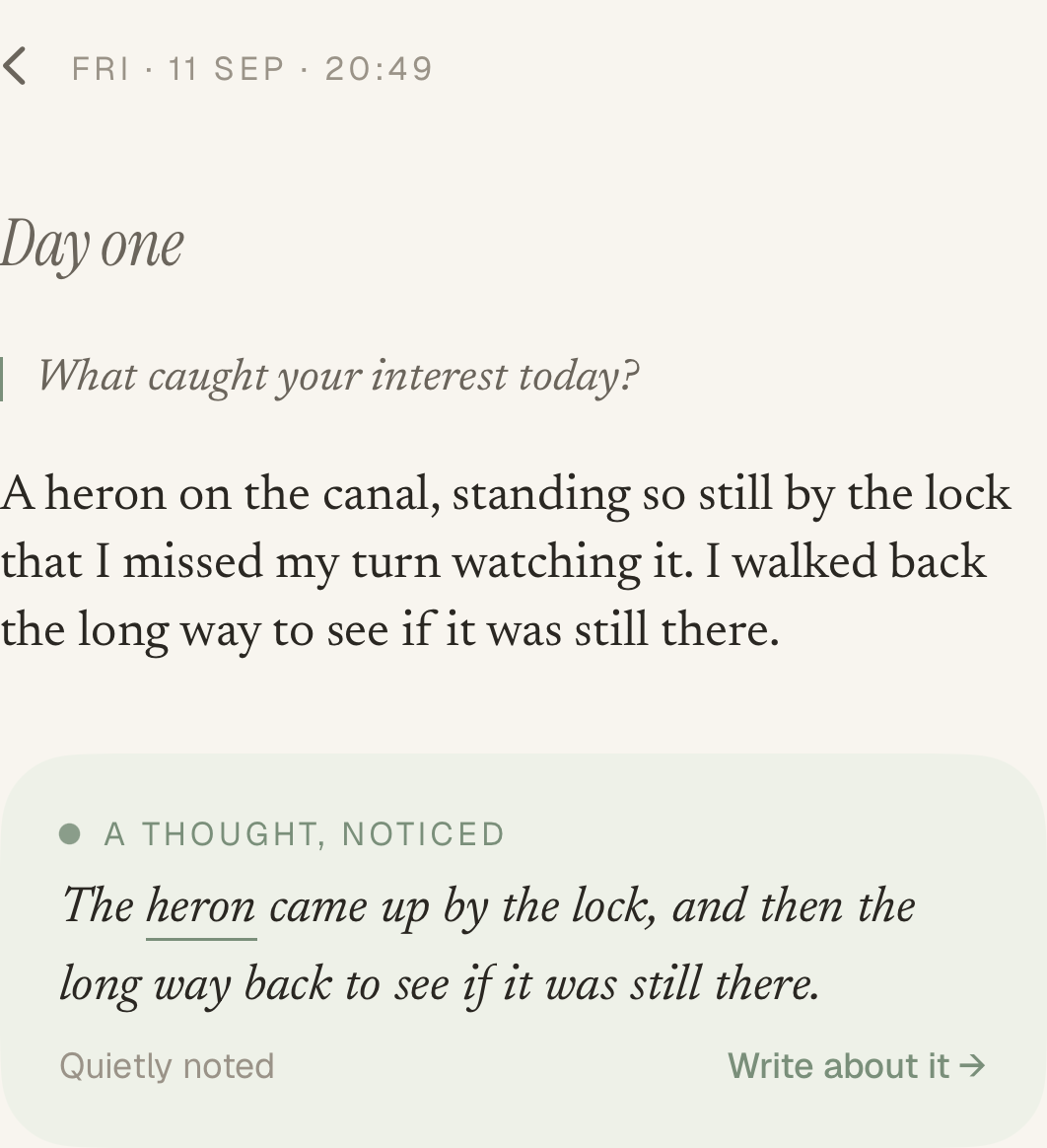 An entry in Jurnl. Under Fri · 11 Sep · 20:49 and Day one, the question “What caught your interest today?” and an entry about a heron on the canal, standing so still by the lock that the writer missed their turn. Below it, a note headed “A thought, noticed” reads: “The heron came up by the lock, and then the long way back to see if it was still there,” with the word heron underlined.